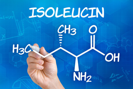 Die essenzielle Aminosäure Isoleucin unterstützt die Muskulatur beim Pferd und ist für die Insulinausschüttung mit verantwortlich.