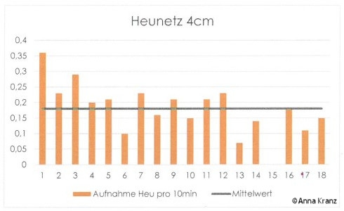 Heunetz 4 cm - Fressverhalten Pferd