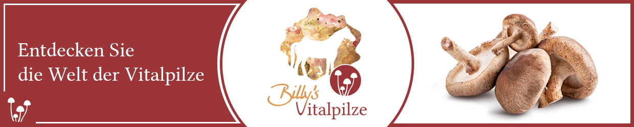 Billy's Vitalpilze | Vitalpilzsäfte für Ihr Pferd