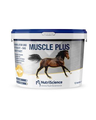 Muscle Plus - NutriScience | Muskelaufbau beim Pferd unterstützen