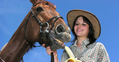 Bananen, Äpfel oder Karotten dem Pferd füttern