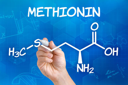 Die essenzielle Aminosäure Methionin spielt in der Pferdefütterung eine bedeutende Rolle.